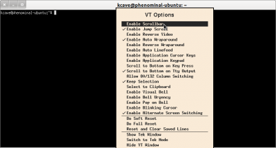 customize uxterm customize uxterm